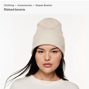 Aritzia Sunday Best beanie